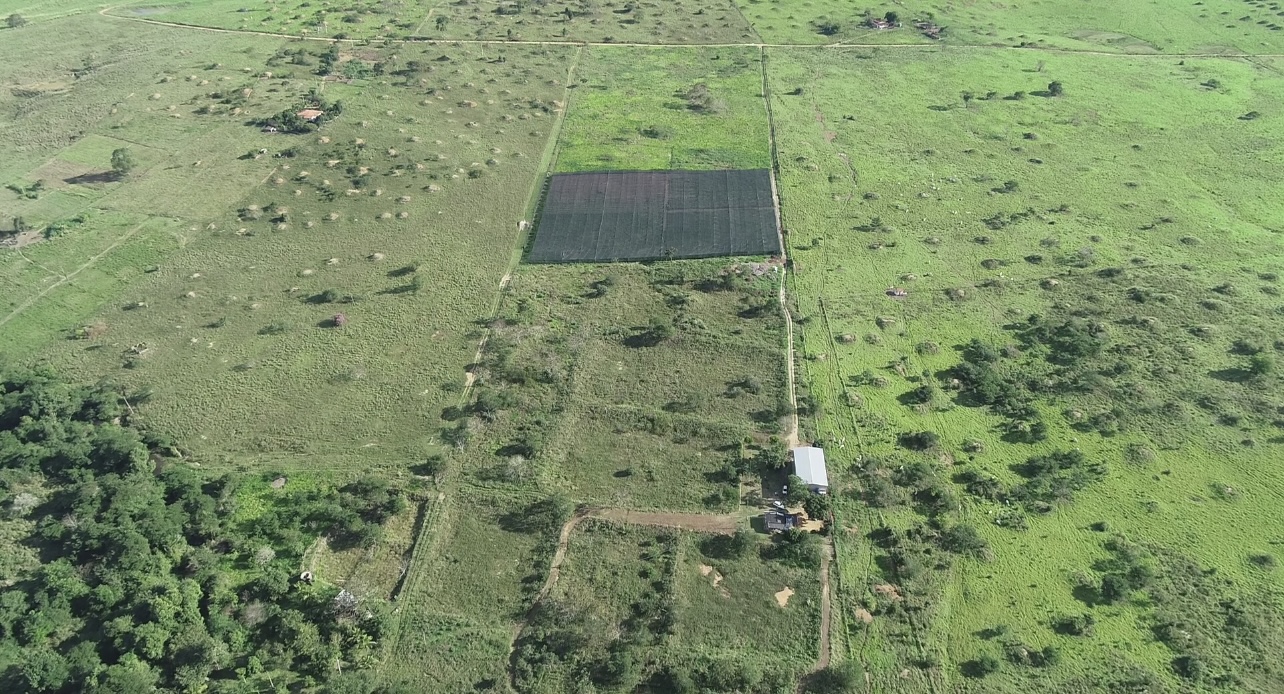 Vista aérea da fazenda Vanilla Brasil na Bahia